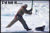 Funny baby seals 2.jpg