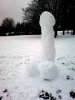 snowcock.jpg