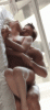 20009135.gif