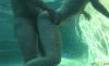7EFA64A9-EC61-4304-A1EE-1AEBB06EACF1.gif