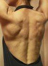 back 001.jpg