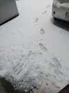 20220206_065523.jpg