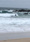 9B831771-ACC9-40F0-945D-291E66F5150D.jpeg