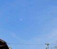 20210423_153846.jpg