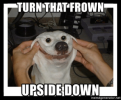 thumb_turn-that-frown-upsidedown-memegenerator-net-turn-that-frown-upside-down-54384614.png