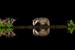 reflection-5-1536x1030.jpg