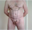 clamps and cock.png
