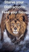 7d50d89892f85621a05994be876eaecf--lion-of-judah-the-lion-king.jpg