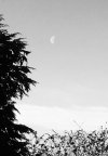 07A1AC31-061D-4F20-BFB2-1C049FA3188C.jpeg
