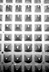 20220301_210346.jpg