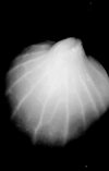 20220301_211244.jpg