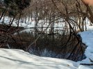 20220309_095405.jpg