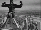 448d98e541ce64b898d03bc0815756d5.gif