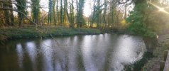 DSC_0275.JPG