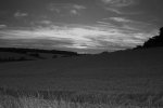 Black and white.JPG