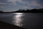IMG_8567.JPG