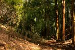 hike 001.jpg
