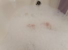IMG_20220325_213448.jpg