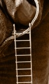 photo ladder.jpg