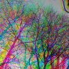artworks-B8g58ESNrQtof9TL-jLyqMg-t500x500.jpg