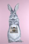 bunny-girl-gucci-the-mad-artist.jpg