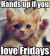 cutememe-lede-1300x1447.jpg