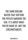 inspirational-quotes-about-strength-positive-quotes-quotation-image-quotes-of-the-day-descript...jpg