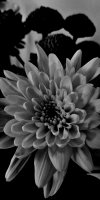 20220501_232525.jpg