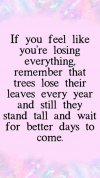10-Motivating-amp-Positive-Quotes-To-Inspire-Your-Day-52765-2.jpg