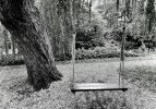 07982959-25BE-4D8A-860A-31AC7A3F9F5A.jpeg