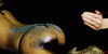 C1385E62-B4B9-45B7-B4BC-5C22020A524C.gif