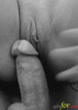 761D0B6D-2476-45C1-8A6A-1898DA926DED.gif