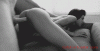 658B2444-1807-4D54-B530-3726E149F938.gif