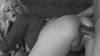 9525C694-9533-447A-B095-ECC5BA5AFFA1.gif