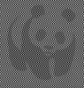 image-1.jpg