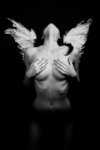 d5c0a405dbbdecde9a542fc02c07cfce--dark-angels-fallen-angels.jpg