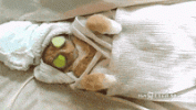 200w.gif