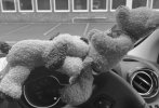 A8733433-8479-4D57-B1D7-158D8F1151B1.jpeg