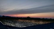 20220528_192051.jpg