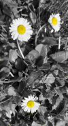 20220604_230821.jpg