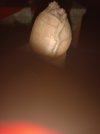 16547202941717860079630360385953.jpg