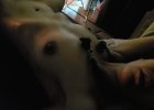 20220621_194458.jpg