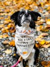 coffee-dog-names-and-accessories-9-768x1024.jpg