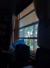 20220731_205123.jpg
