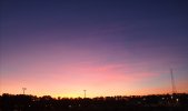 IMG_20220730_072910.jpg