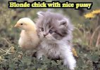 blonde chick.jpg