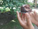 20220801_005317.jpg