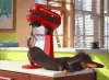2XvJ.gif