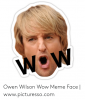 owen-wilson-wow-meme-face-www-picturesso-com-53919625.png