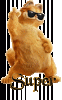 PortlyWelllitArctichare-small.gif